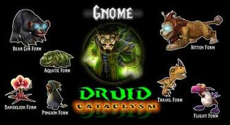 Wow Cataclysm Gnome Druid By Fortunia