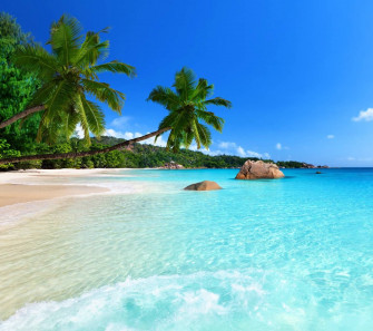 Tropical Beach Wallpaper By