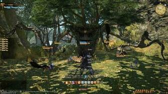 Final Fantasy Video Game Xiv A Realm Reborn
