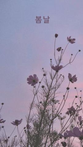Korean Aesthetic Desktop Wallpaper Top