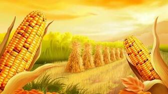 Moril Corn Field Computer Wallpaper Desktop Background