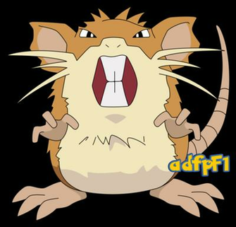 Raticate Pokemon Wallpaper Image
