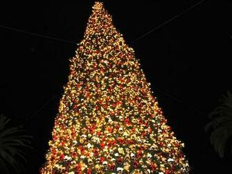 HD Christmas Tree Wallpaper And Background