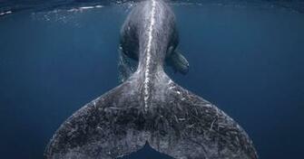 National Geographic Travel Photographer Of The Year