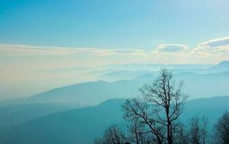 Blue Hills Black Trees Hintergrundbilder