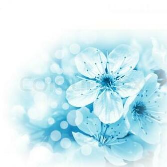 Background Blue White Flower Flowers On