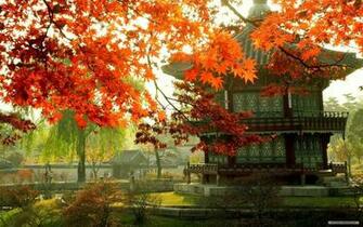 Nature In Seoul Wallpaper