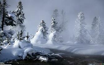Cold Winter Wallpaper Open Walls
