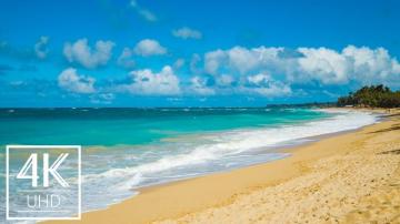 4k Tropical Nature Wallpaper Slideshow Amazing Beauty Of Hawaii