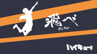 Shoyo Hinata Wallpaper