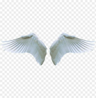 Angel Wing Png Picture Transparent Stock Guardian