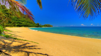 Best Summer Wallpaper Of The Tech Edvocate
