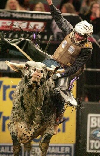 Bull Riding Wallpaper