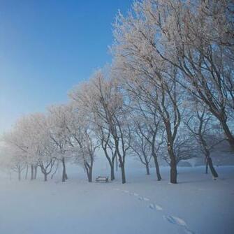 iPad Wallpaper Winter Natural Scenery Mini