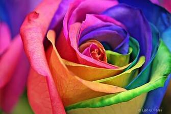 Rainbows