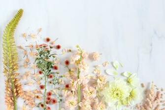 Digital Blooms September Wallpaper Macbook