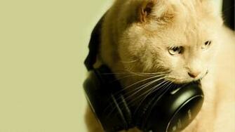 Cat And Headphones Desktop Pc Mac Wallpaper