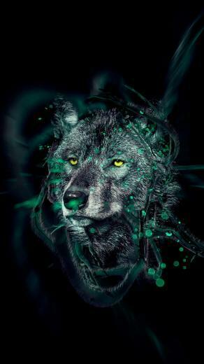 Wolf HD iPhone Wallpaper