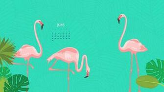 All Fun Summery And June Desktop Wallpaper