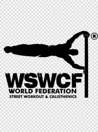 Street Workout Calisthenics Exercise Equipment Others