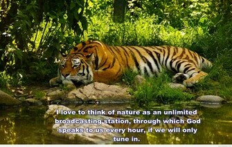 Wallpaper Nature Quotes And Image HD