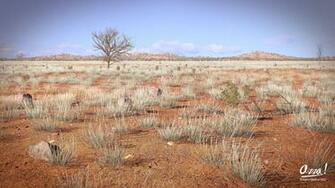 Desert Scene Aaron Newton 3d Rendering Of A Landscape