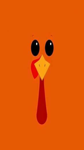 Happy Turkey Day Thanksgiving