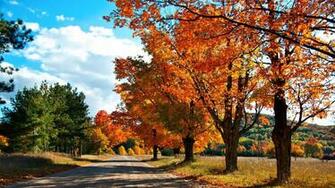 Autumn Country Road