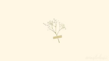 Minimalist Desktop Background Wallpaper