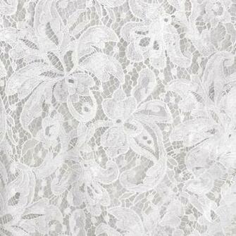 White Lace Background
