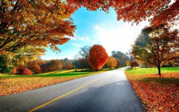 Autumn Wallpaper