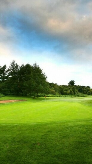 Golf Field Surface Rt Wallpaper