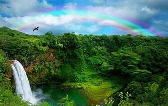 Waterfall In Kauai Hawaii Wallpaper