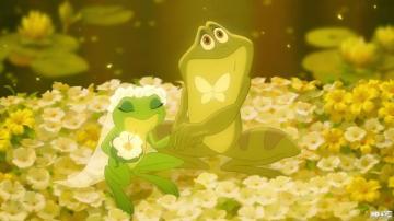 Princess And The Frog Animation Disney Family Fantasy
