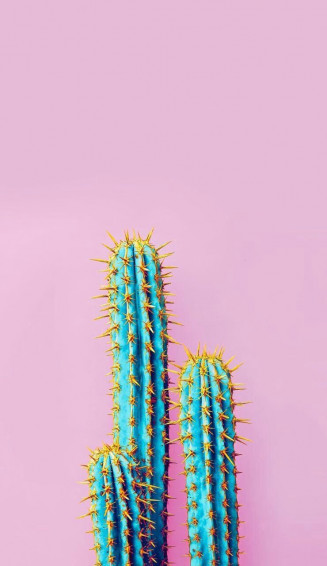 18cbcaf7db06e435845ce6d7f3933061 Wallpaper