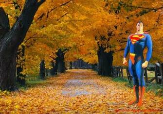 Wallpaper Of Superman Standing Tall At Autumn Trees Desktop
