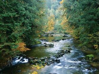 North Fork Of The Smith River Siuslaw National Forest Oregon