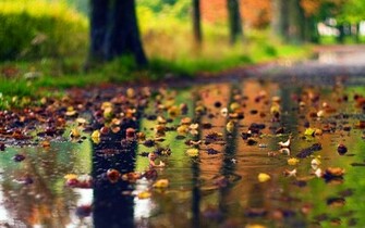 Beautiful Rainy Landscapes HD Wallpaper