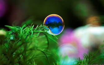 Microsoft Wallpaper Field HD