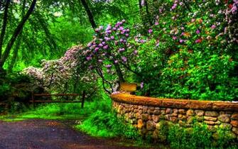 Dream Spring Beauty Wallpaper HD