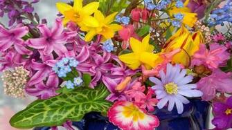 Colorful Flower Wallpaper