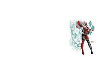 Harley Quinn Computer Wallpaper Desktop Background Id