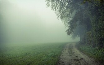 File Name Misty Background High Quality Wallpaper