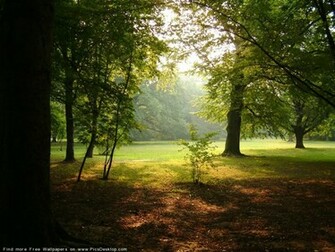 Nature Summer Wallpaper Stocks