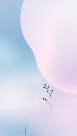 Best Aesthetic Minimal Wallpaper