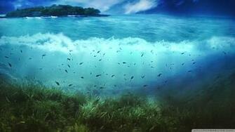 Life Aquatic Wallpaper HD Background HDesktops
