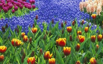 Flower Garden Wallpaper