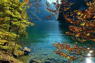 Image Germany Konigsee Nature Autumn Lake Stone Branches