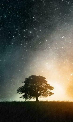 To High Definition Wallpaper Background Nokia Lumia Next Image