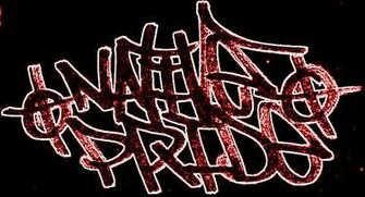 Native Pride Graphics And Comments